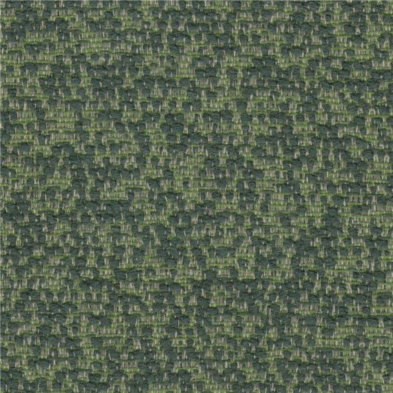 Cosmos_Eucalyptus
