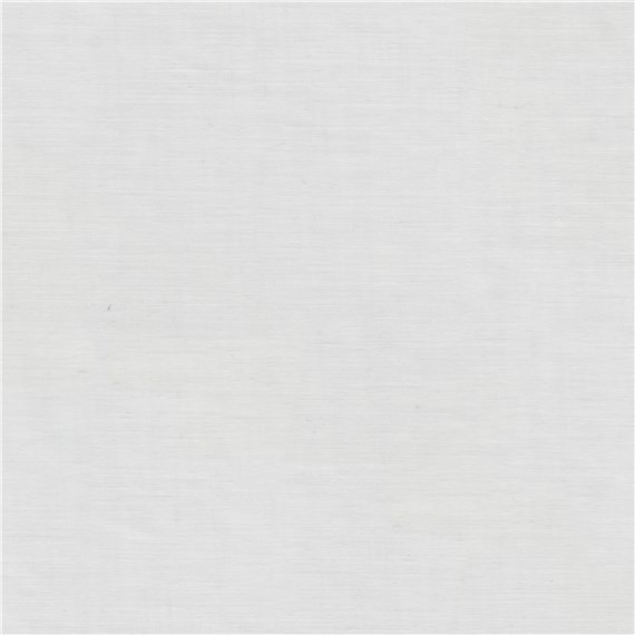 Daylight_Silver