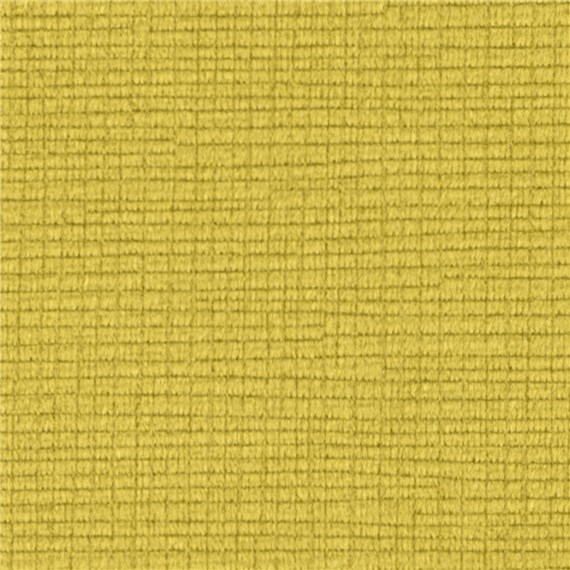 Debonair_Meringue