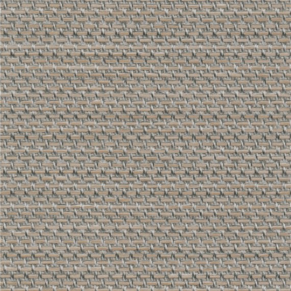 Echelon_Birch