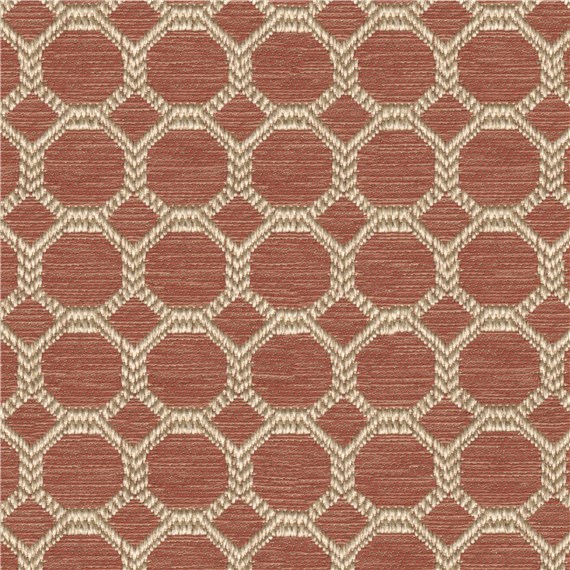 Elegant_Coral