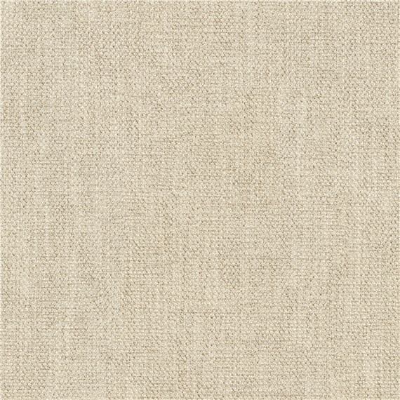Eloquent_Birch