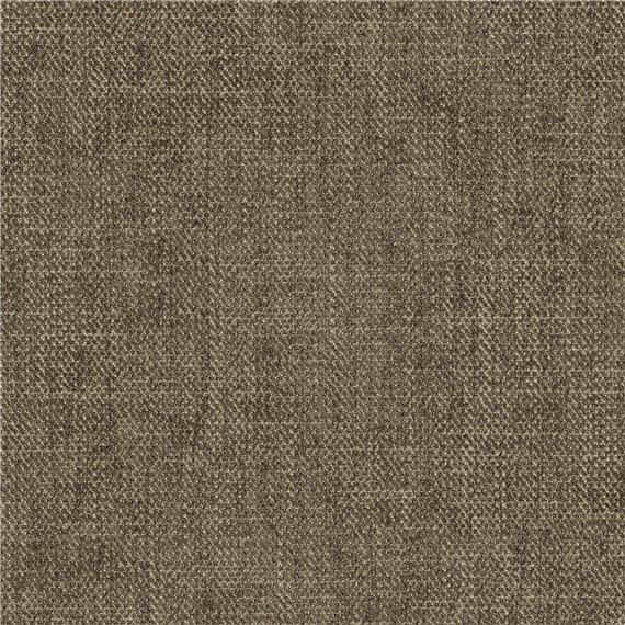 Eloquent_Pecan