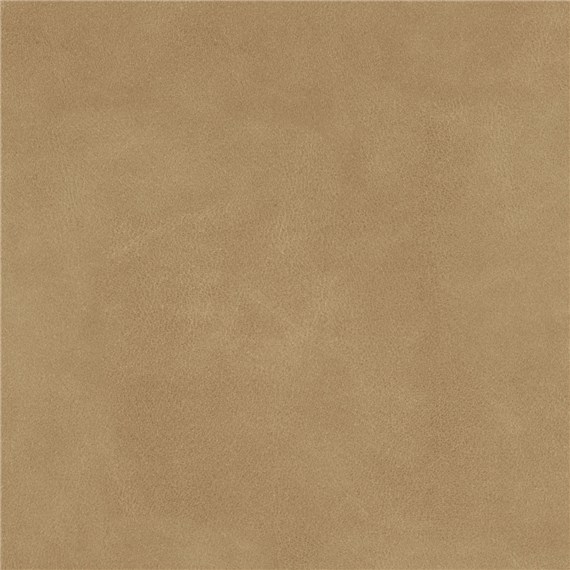 English_Suede_Polocrosse
