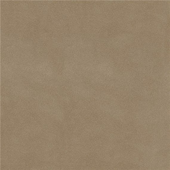 English_Suede_Show_Hunter