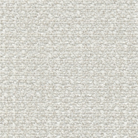 Euphoria_Birch