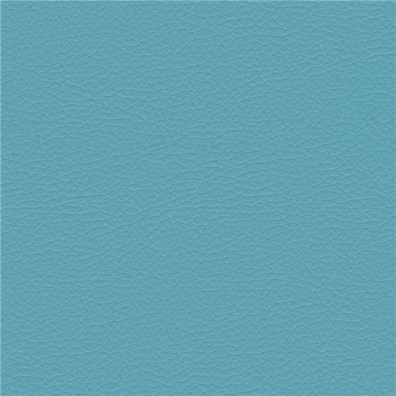 Evolution_Aquatic