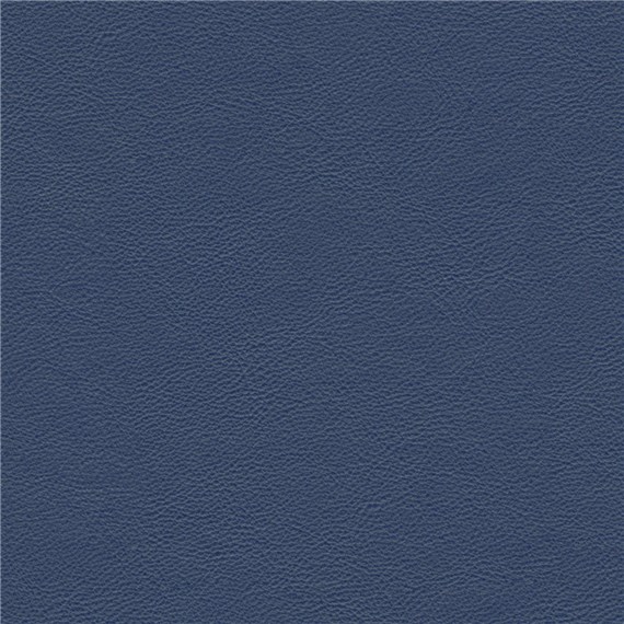 Evolution_Navy