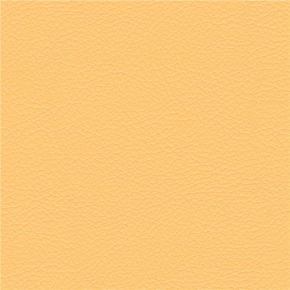 Evolution_Niche
