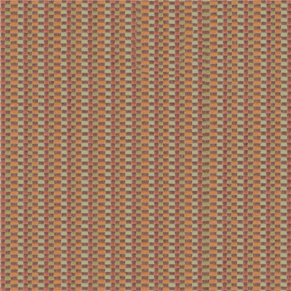 Excel_Coral