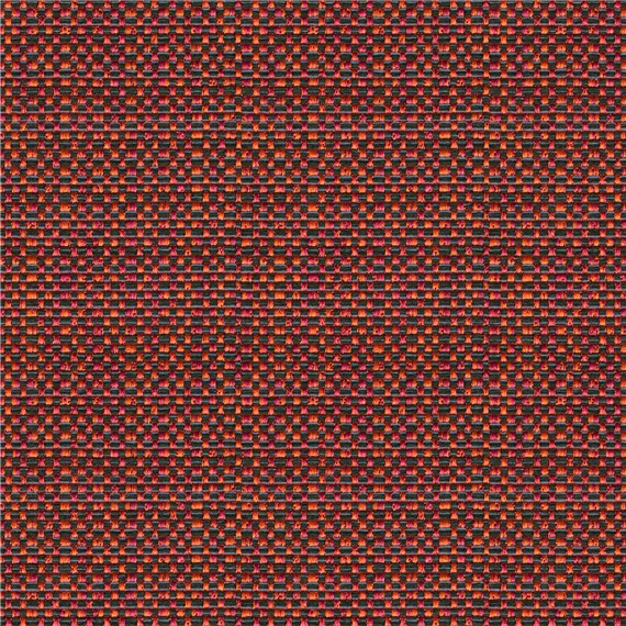Excursion_Aster