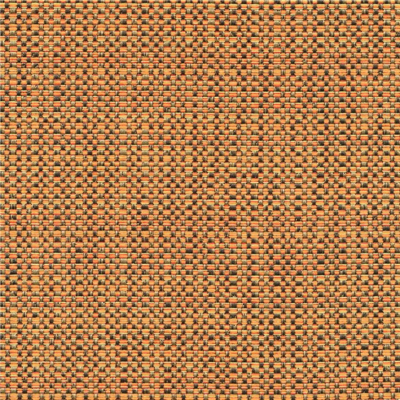 Excursion_Marigold