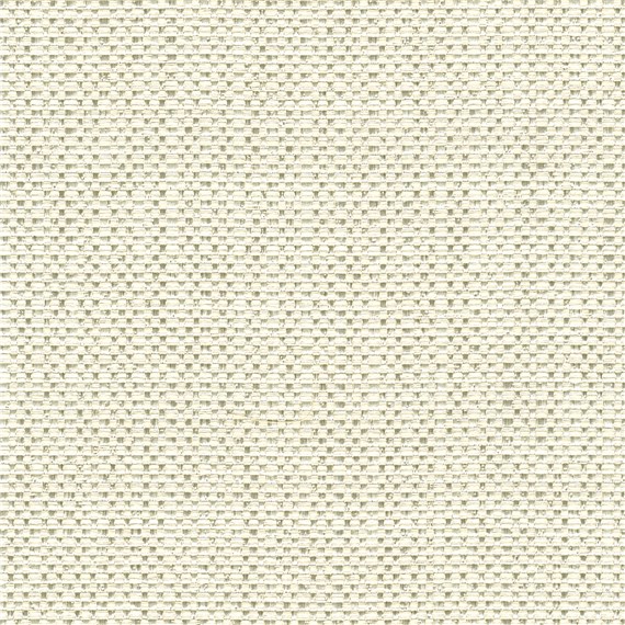 Excursion_Pearl