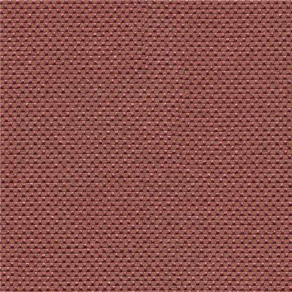 First_Class_Plum