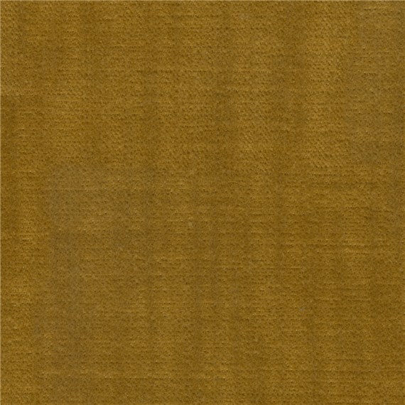 Griffin_Natural_Forms