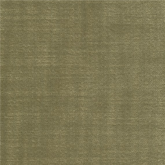 Griffin_Spring_Green