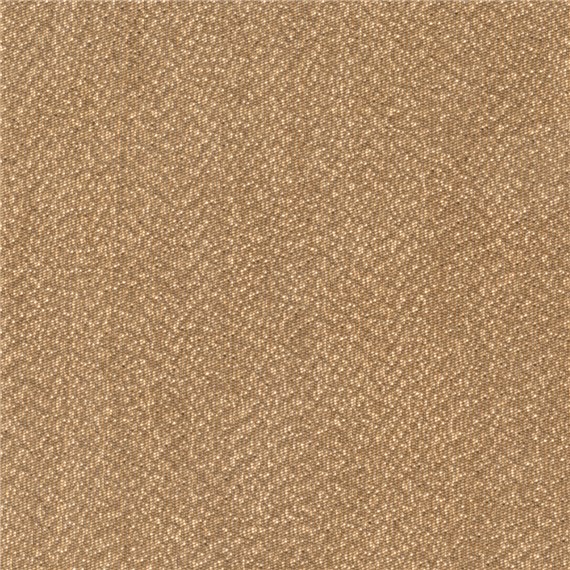 Headliner_Jlo