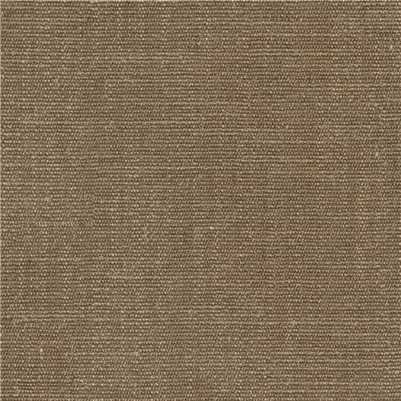Hofmann_Conifer