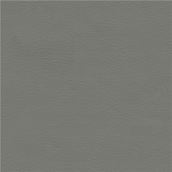 Hush_Fossil