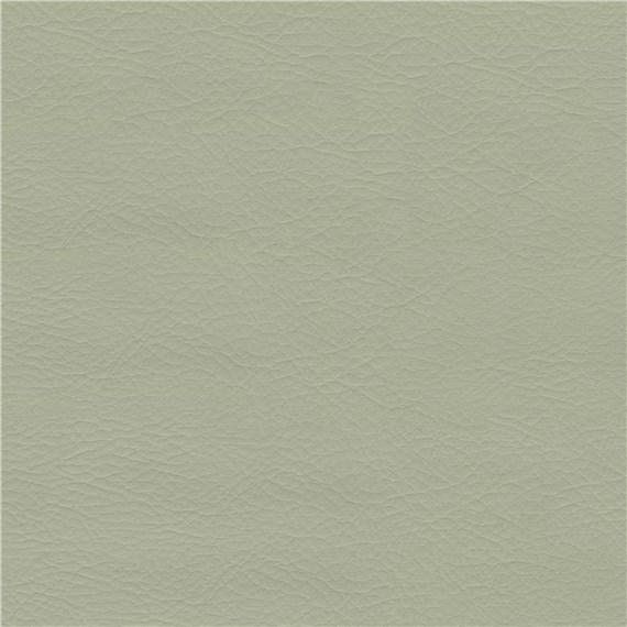 Hush_Silver_Leaf