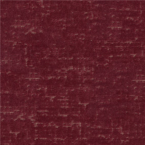 Larkspur_Currant