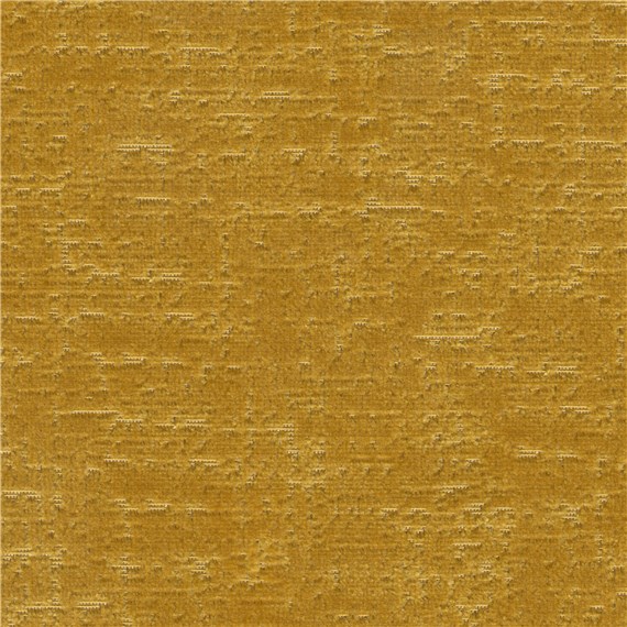 Larkspur_Golden_Gate