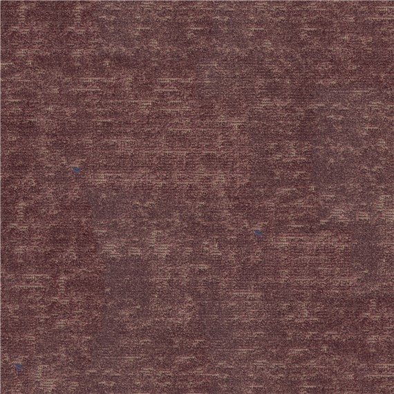 Larkspur_Pinot