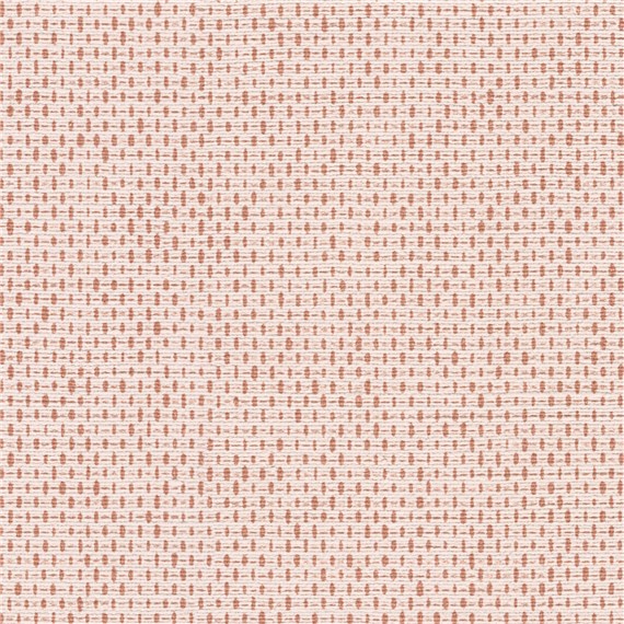Lincoln_Coral