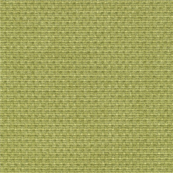 Loom_Fern