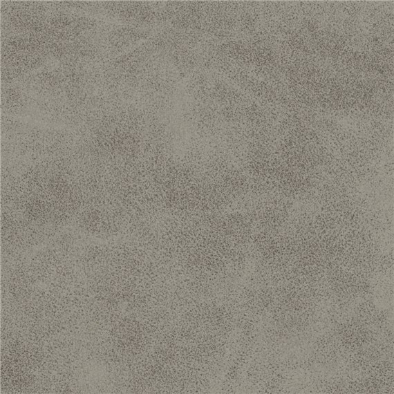 McQueen_Silver_Dollar