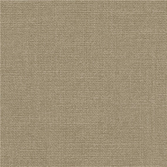 Muslin_Fossil