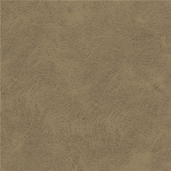 Mustang_Limestone