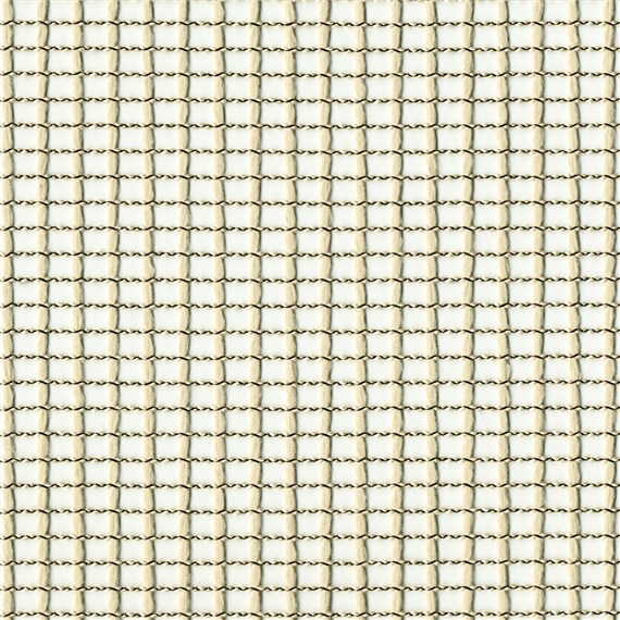 Nexus_Tropic