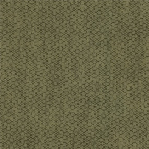 Northampton_Olive