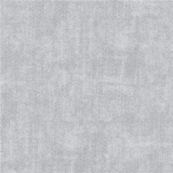 Northampton_Silver