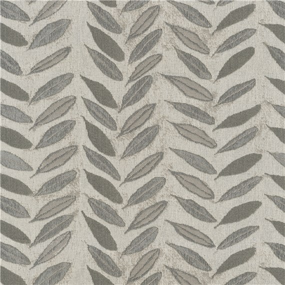 Olive_Branch_Nightingale