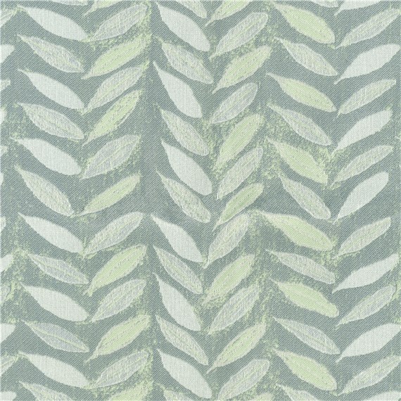 Olive_Branch_Sky