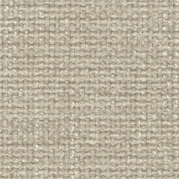 Paola_Chiaro
