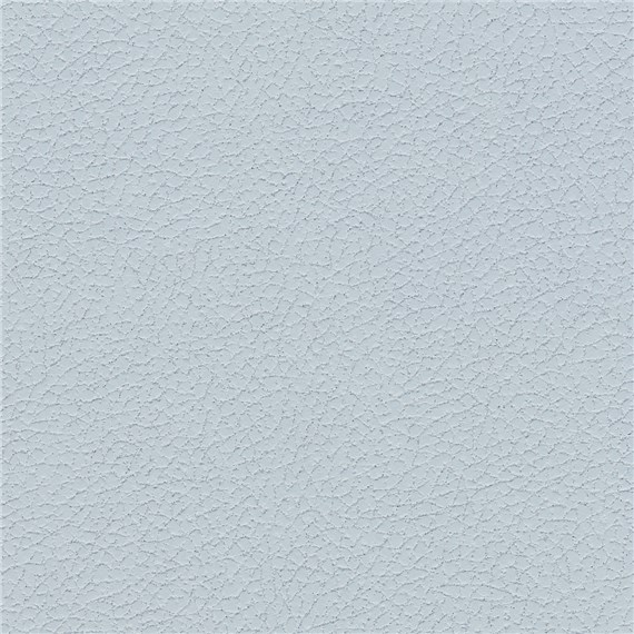 Pelle_Iceberg