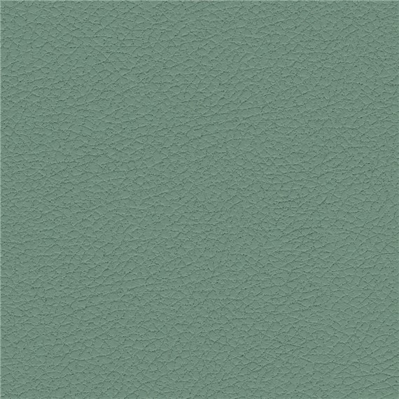Pelle_Lambs_Ear