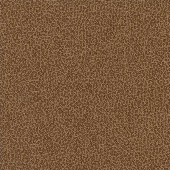 Percheron_Allspice
