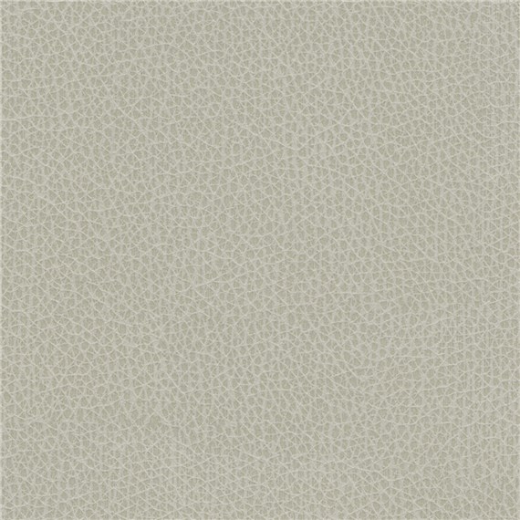 Percheron_Horizon