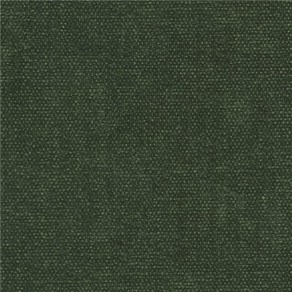 Piazza_Forest