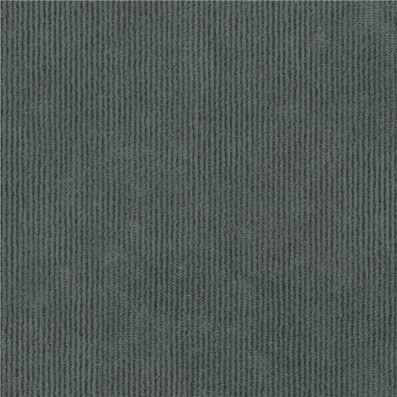 Pinwale_Embellished