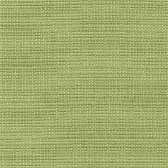Pinyon_Fennel