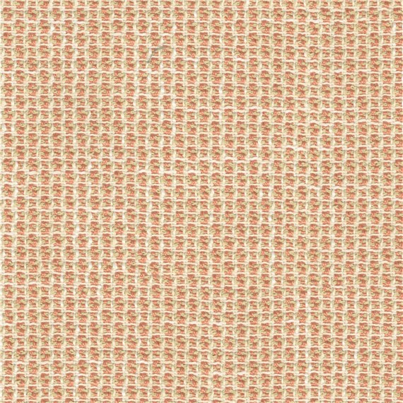 Poise_Coral