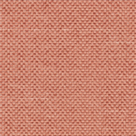 Poplin_Punch