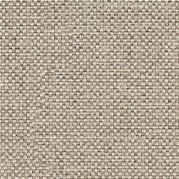 Poplin_Root_Beer