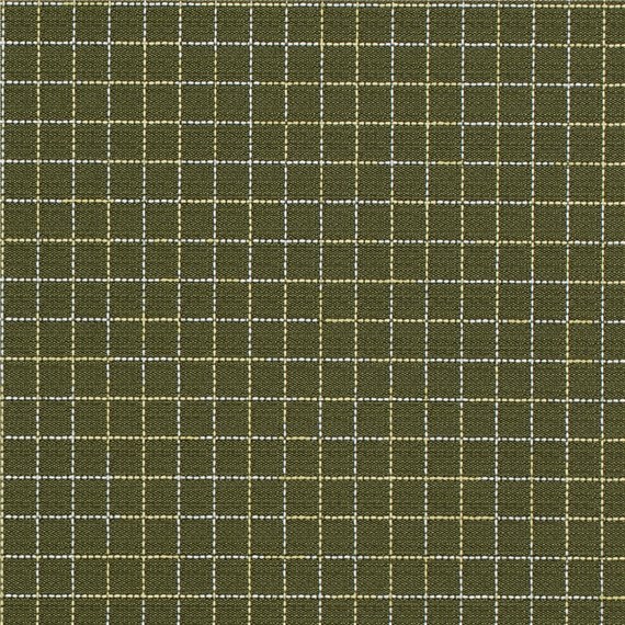 Porter_Fraser_Fir