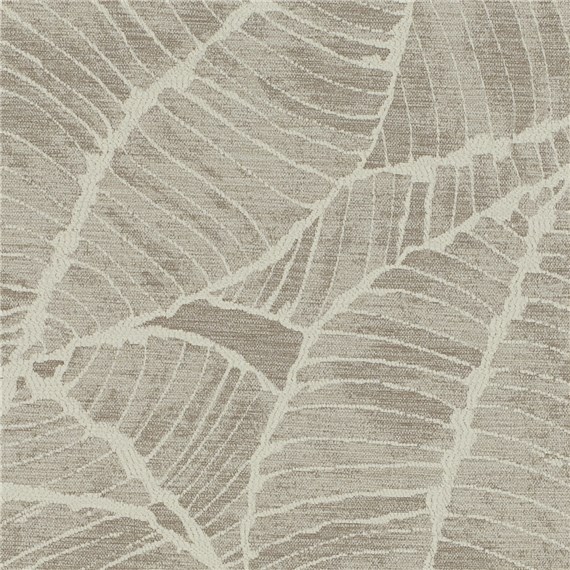 Purebotanica_Natural